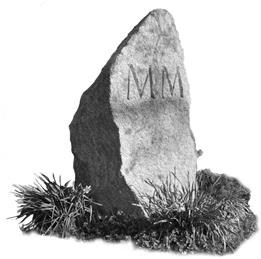 Residents urged to respond to government consultation on once-in-a-generation opportunity to change local councils